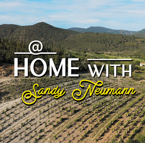 @Home with Sandy Neumann (6)/ Teil II