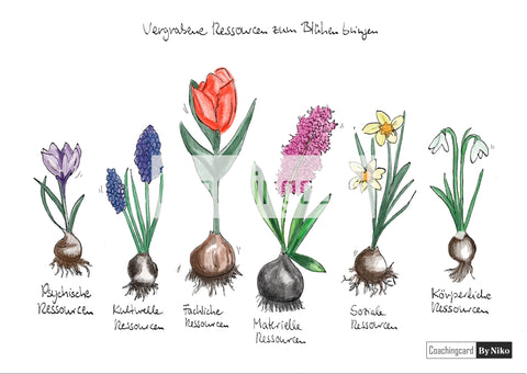 Vergrabene Ressourcen zum Blühen bringen