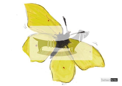 Mein Schmetterling- erhältlich ab 05.01.2026